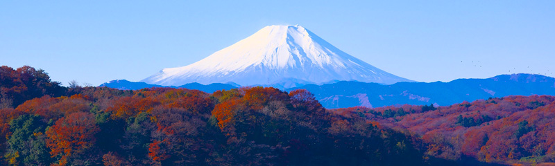 viaggi-in-catalogo-6